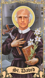 Larry David Prayer Candle